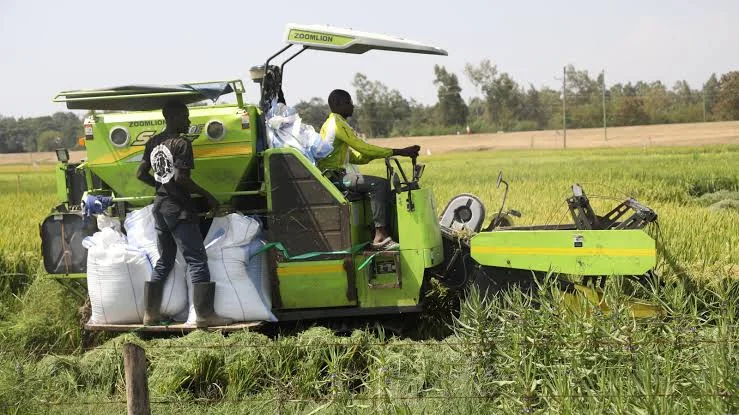 Modernizing Ahero Irrigation Scheme to  Power Kenya’s Agricultural Transformation